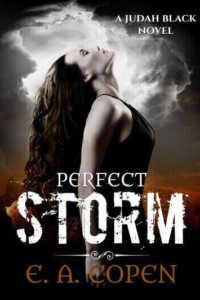 Perfect Storm